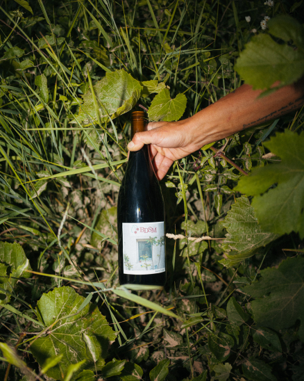 Degustace vín s Monology 26.11.