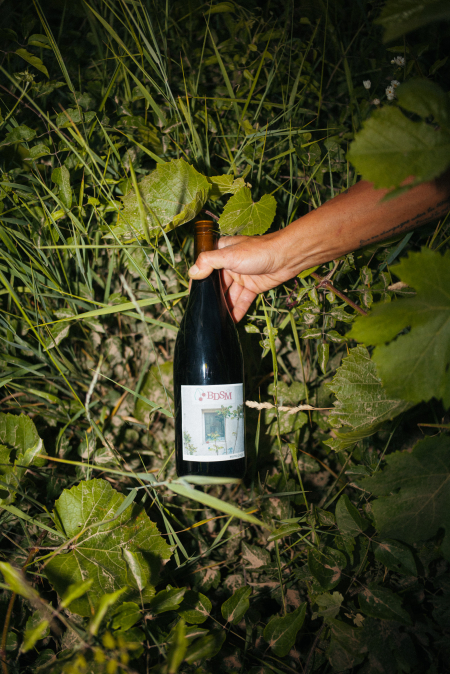 Degustace vín s Monology 26.11.